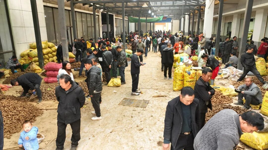 线下销售火爆现场.JPG