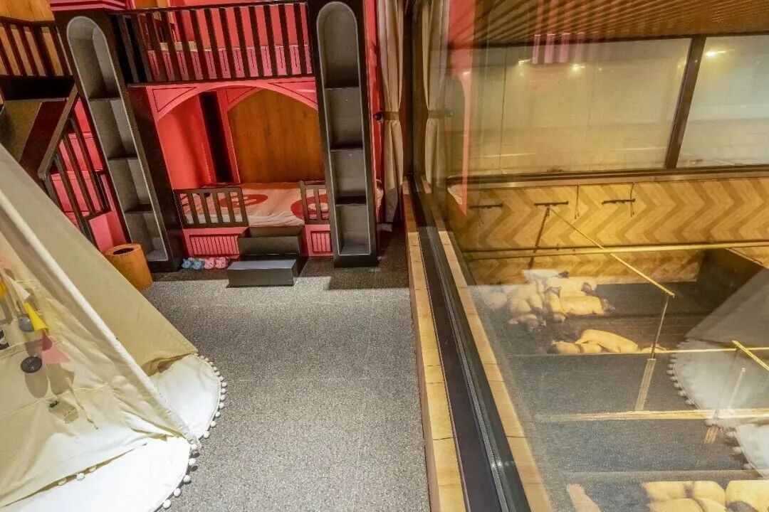 猪景房的设计灵感来自以往农村“楼上住人、楼下养猪”的格局