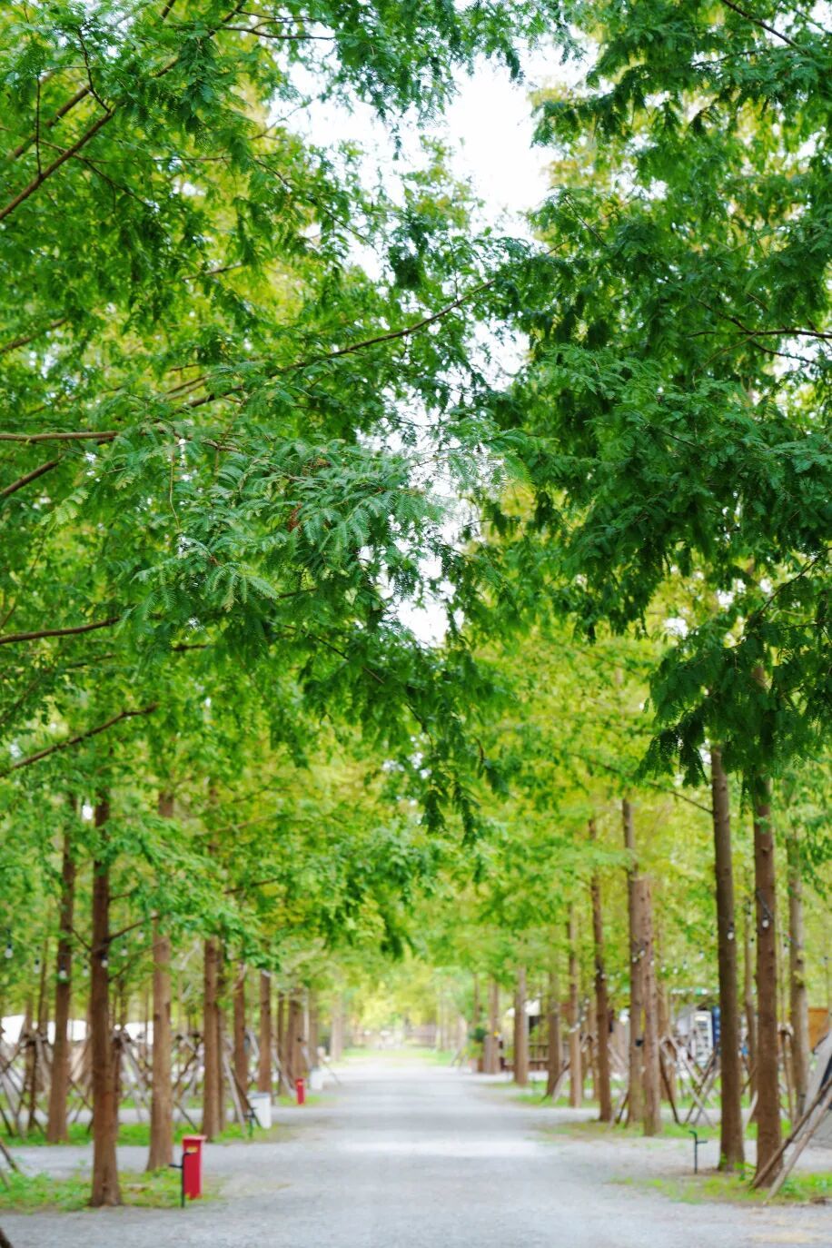 5571e56438938680273defed8740d3a.jpg