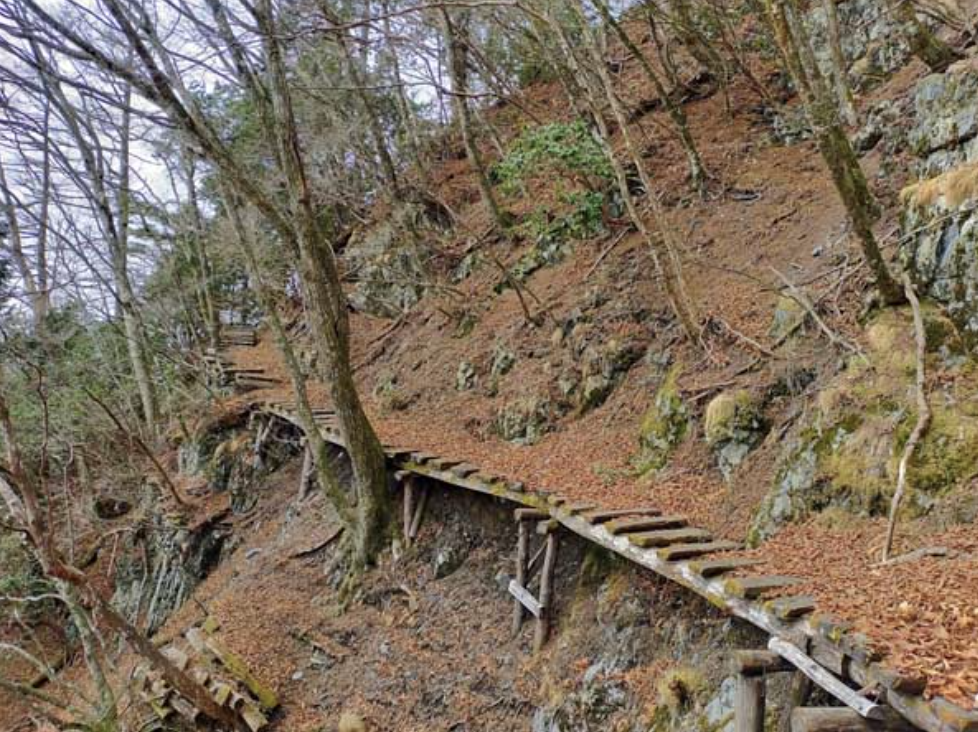 ▲奥多摩登山道（资料图）