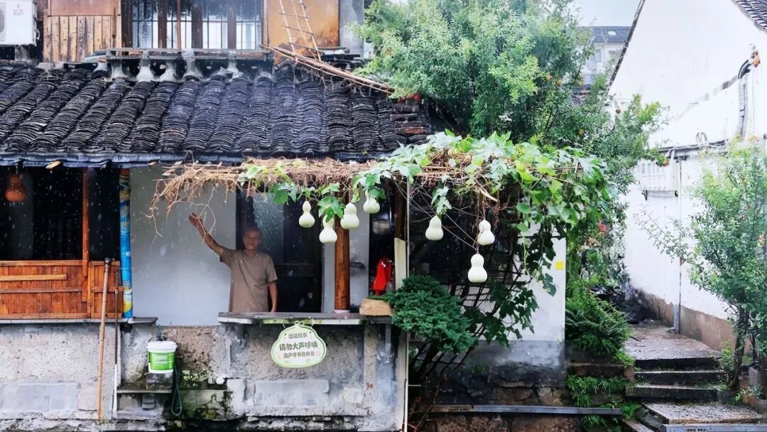 “葫芦娃爷爷”的小院种的苗,一根藤上结出7个葫芦 图源:“绍兴发布”微信公众号