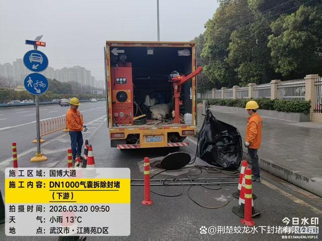 武汉硚口区水下封堵气囊定做-有驾