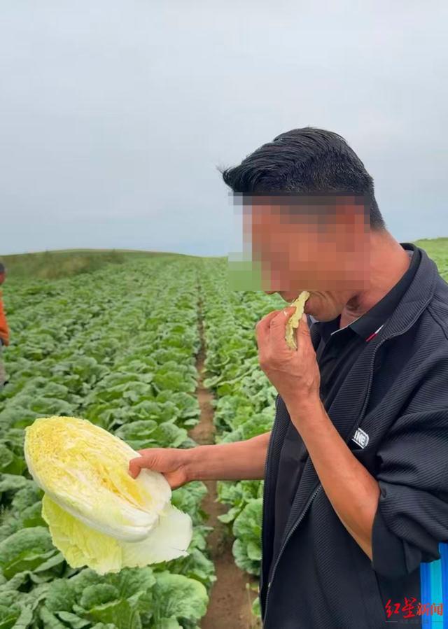 ▲汪刚在吃自家地里种的白菜
