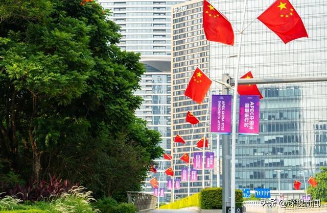 图源 / 前海管理局