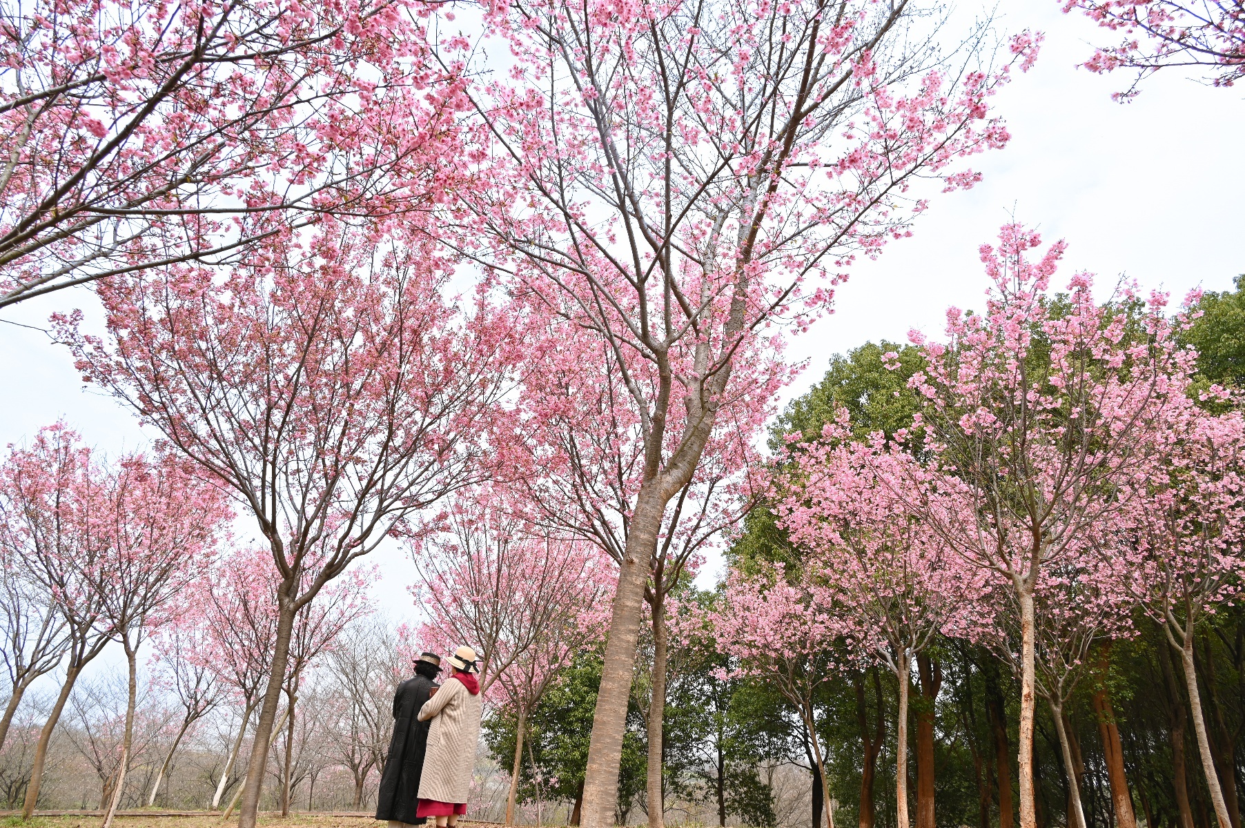 微信图片_20260319144026_10_2894