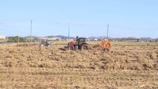 【#循环经济让农林废弃物变废为宝#】循环的智慧！宁波宁海秸秆打捆离田