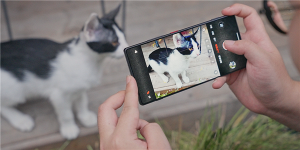 老外评了个“最该解除的手机策画” 看完我深深共情了