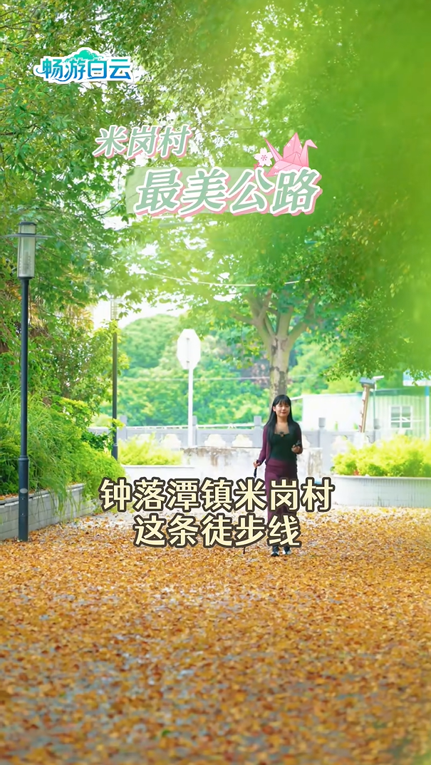e81796d26c13cc070337a7fd9870b943.png