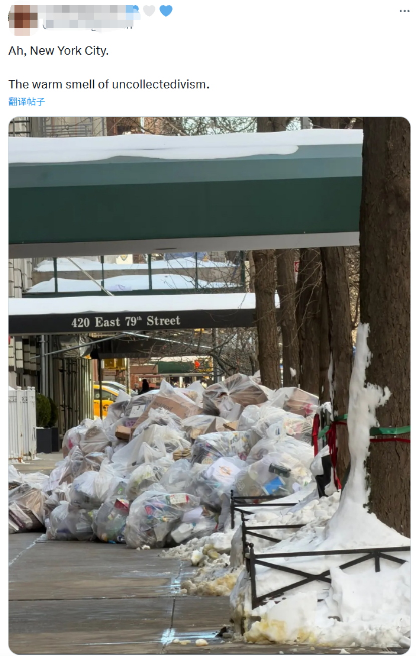 暴雪后纽约沦为“垃圾场”!老鼠横行、气味刺鼻,居民质问:为何市长家门口一尘不染?