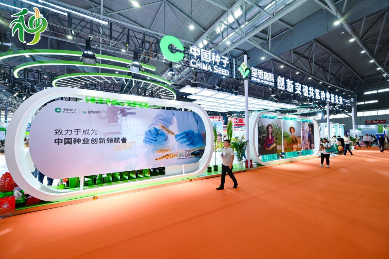 活动现场展区。主办方供图
