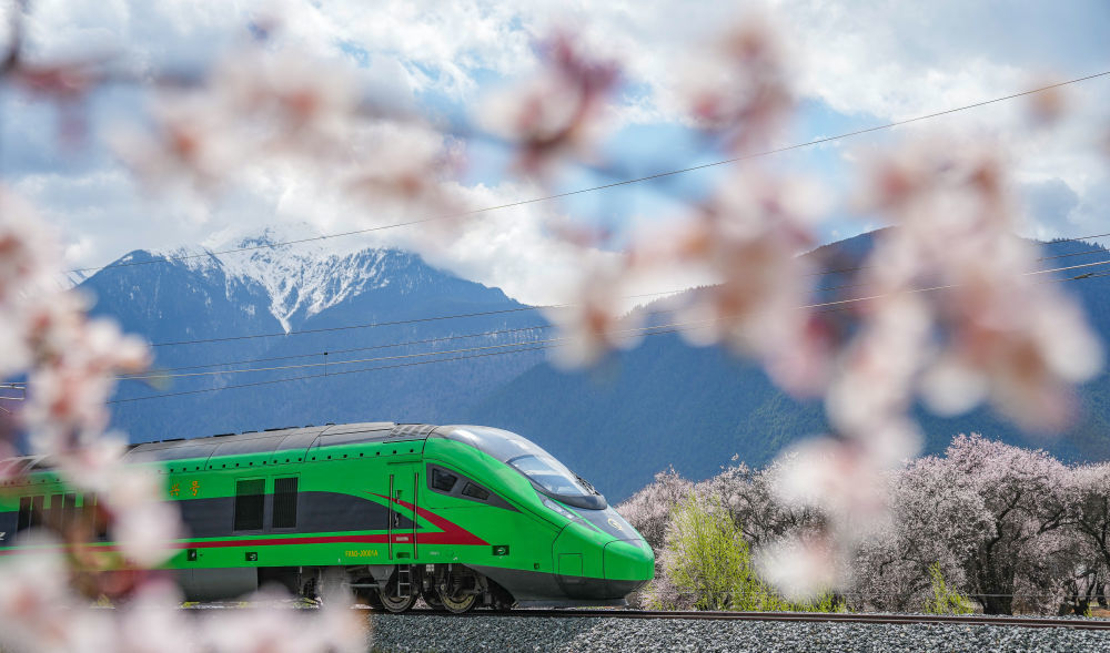 2025年4月2日，复兴号列车穿行在拉林铁路林芝段。新华社记者 丁增尼达 摄