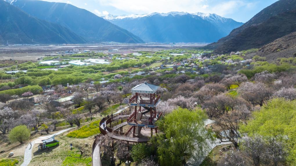 西藏林芝市巴宜区嘎拉村风景。 新华社记者 丁增尼达 摄