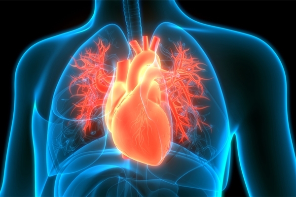 心脏用药搜索量暴涨!医生辟谣速效救心丸是万能缓解药:应遵医嘱