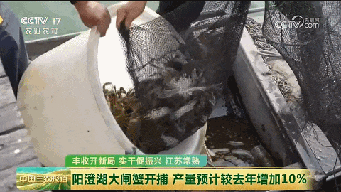微信视频2026-09-29_092035_2132026929924501.gif
