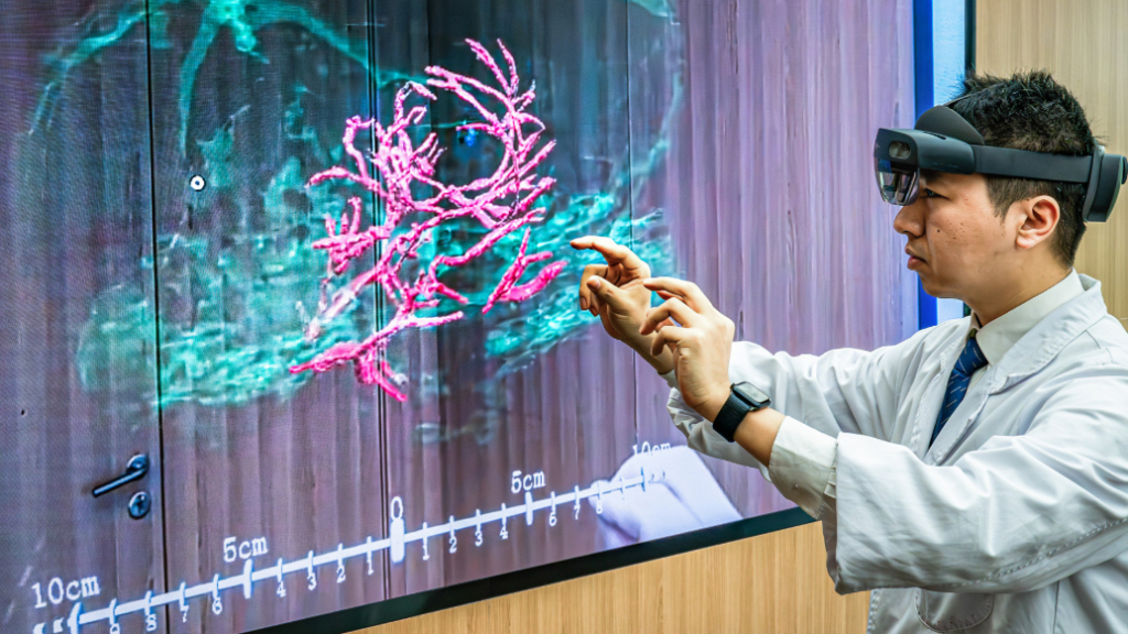 2025年3月26日，科研人员通过微米级脑机接口混合现实，精准呈现脑机接口与大鼠大脑主要血管和脑组织的空间位置关系。新华社图