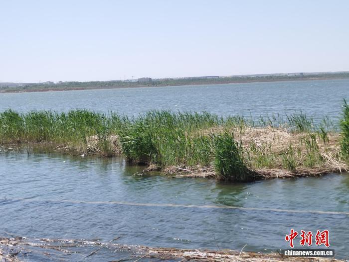 图为碧波荡漾的红海子。　中新网记者 李爱平 摄