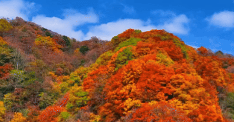 10月10日 (9).gif