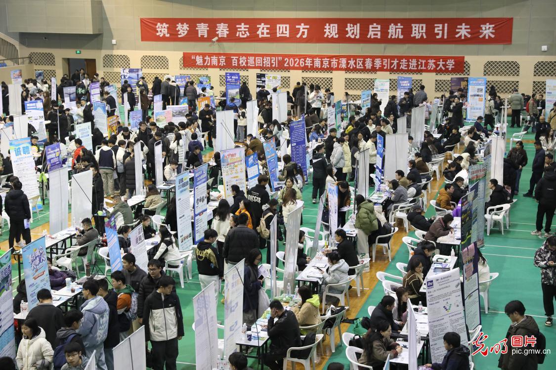 【职引未来】春招攻坚正当时 精准服务促就业