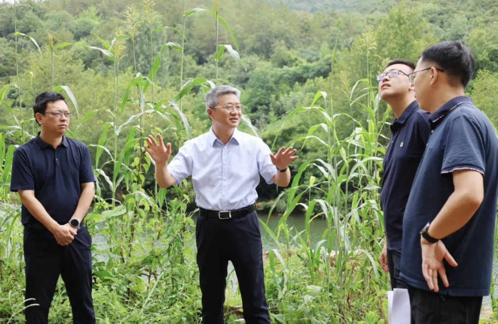 7月18日，湖北省宜昌市远安县委书记刘朝深入茅坪场镇，实地检查督导地质灾害防治工作。