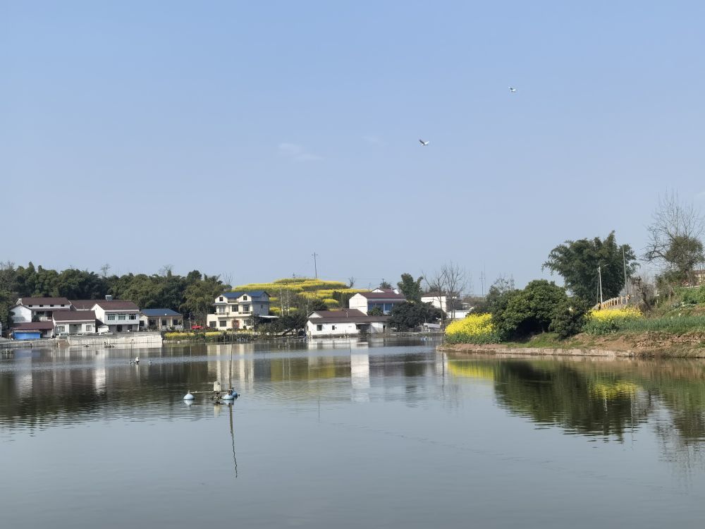这是2月16日拍摄的宜宾一处乡村景象。新华社记者俞懋峰 摄
