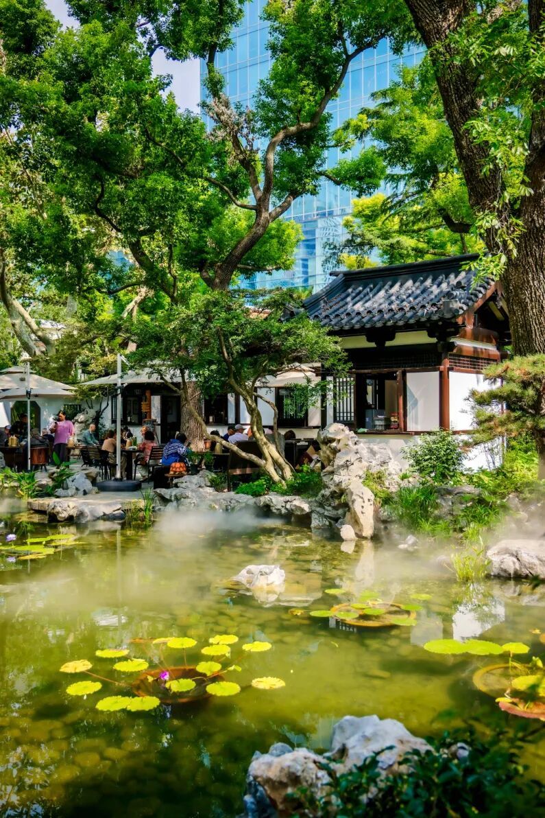 10.13 静安公园 朱旭洁摄-18.jpg