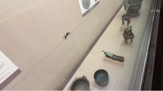 台北故宫博物院展柜出现蚂蚁。图源：台媒