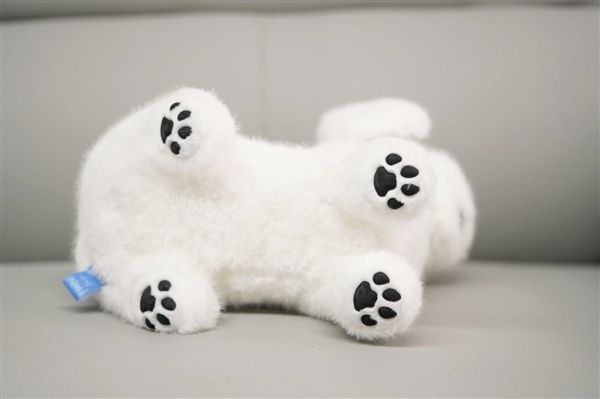 会撒娇能成长!科沃斯毛团陪伴机器人图赏