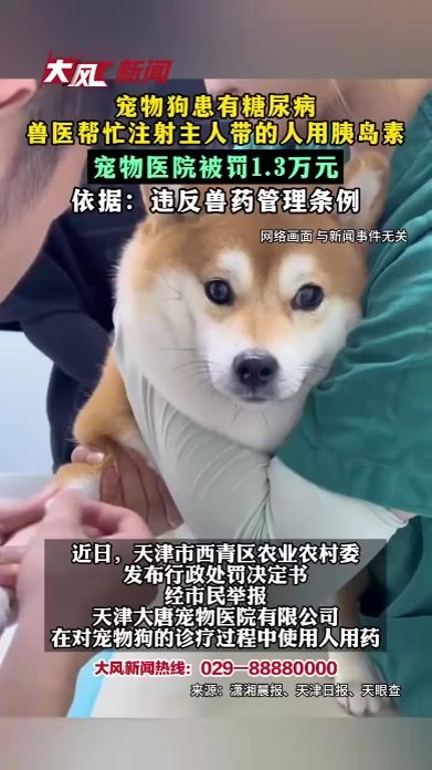 宠物狗患有糖尿病 兽医帮忙注射主人带的人用胰岛素 宠物医院被罚1.3万元 依据：违反兽药管理条例