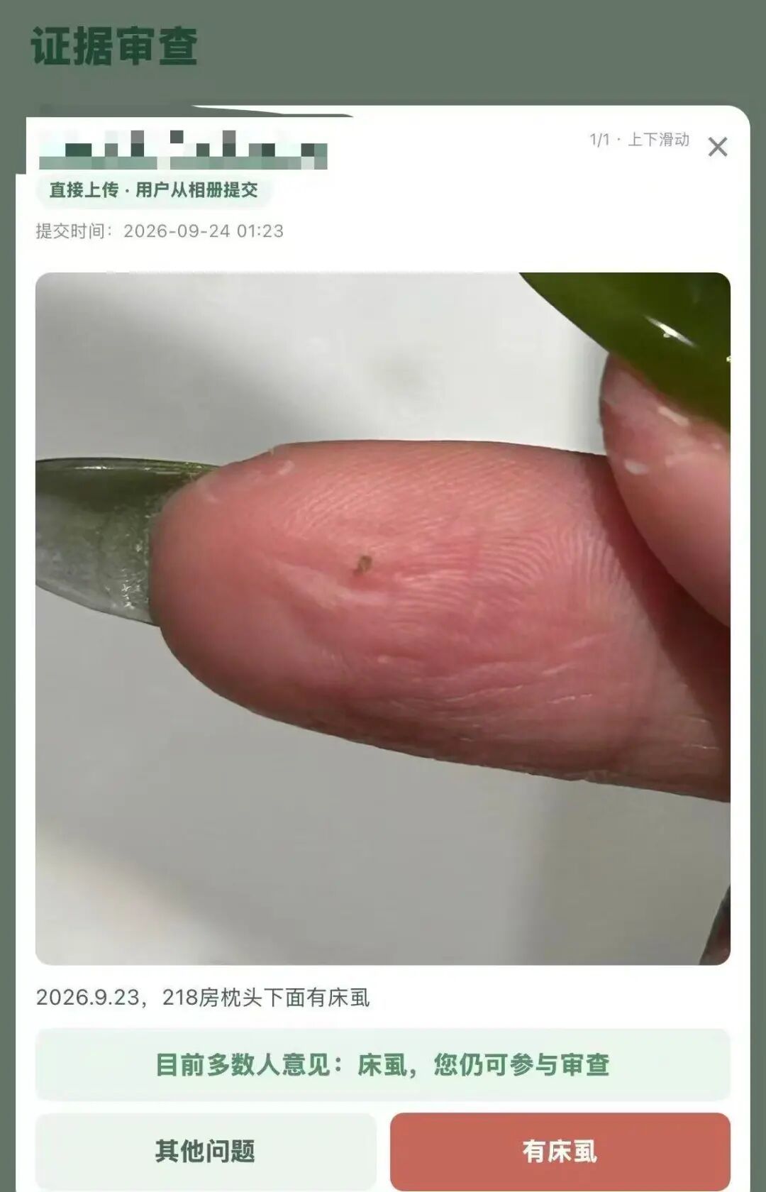 △网友自行上传证据。