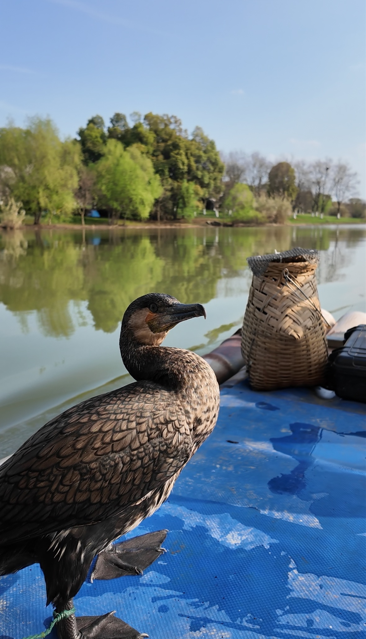 微信图片_20260330143612_1750_345