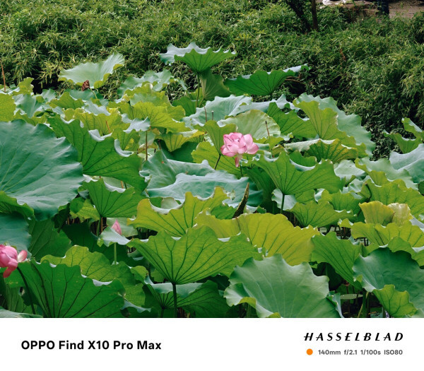 OPPO Find X10 Pro Max上手体验:原相机才是手机影像的正确打开方式