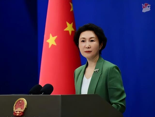 毛宁 资料图 图源：外交部网站