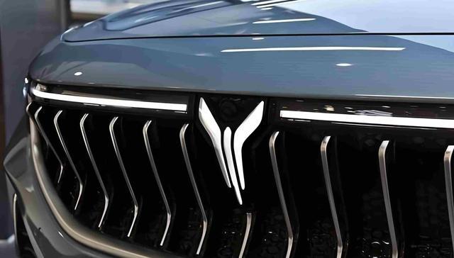 岚图卢放谈“速成车”:快慢从不是标准,偷工减料等才是