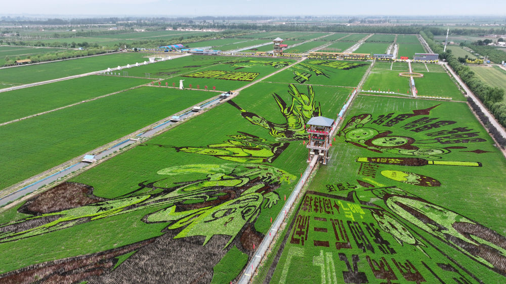 2025��6��18�գ�����ռ������̬�۹�԰�ľ޷����ﻭ�����˻���Ƭ�����»���������� ��