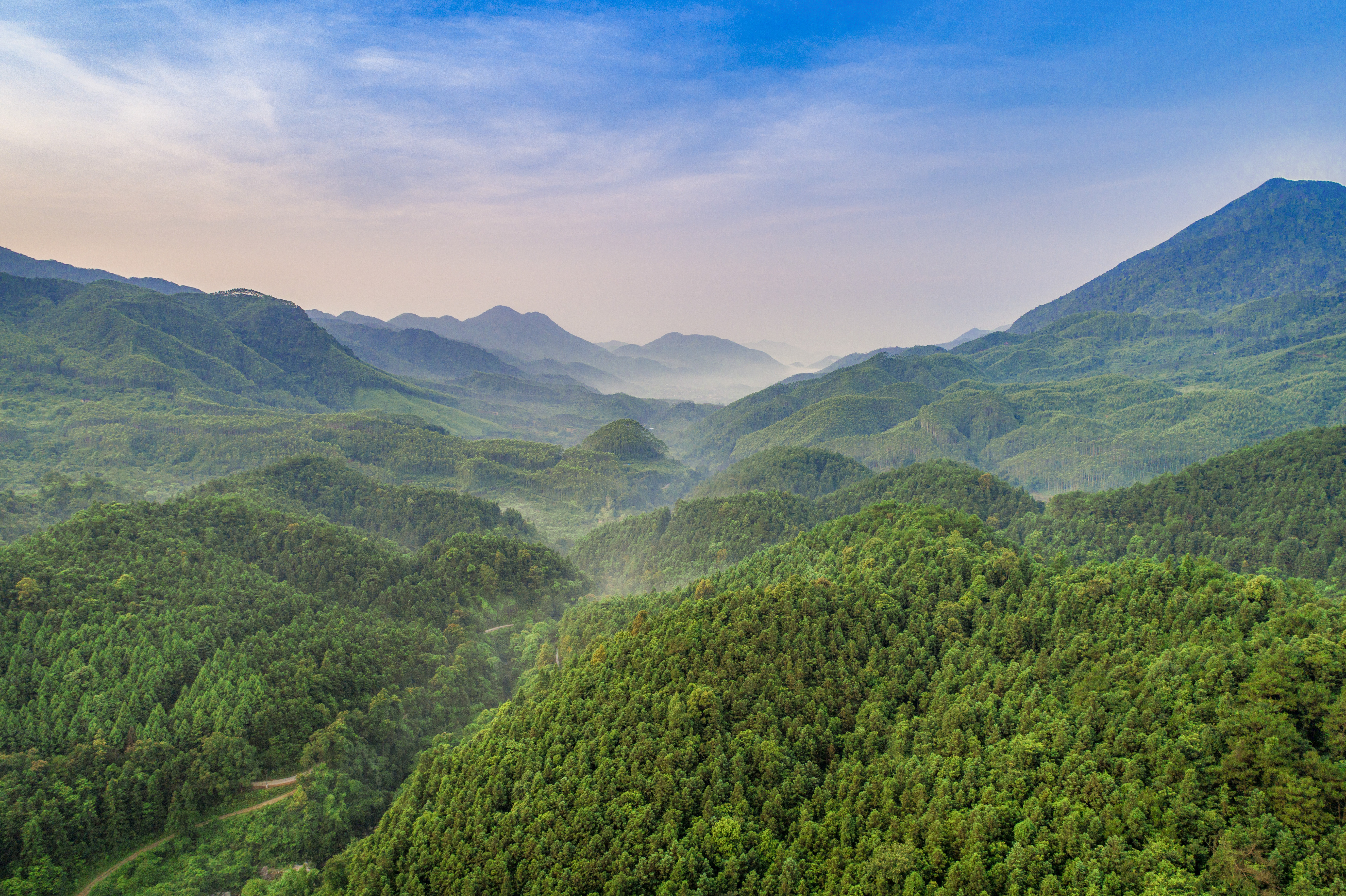 如今，岳山造林光荣传统激励着一代代肇庆人对绿色的热爱与追求。伍尚慧摄