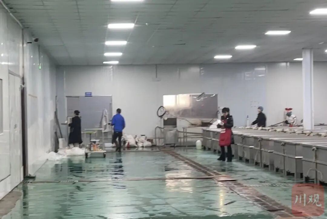 泡发车间正在进行清洁作业。