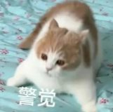 d709f929-aa32-48d8-b5ca-d20b7d21e64d.png
