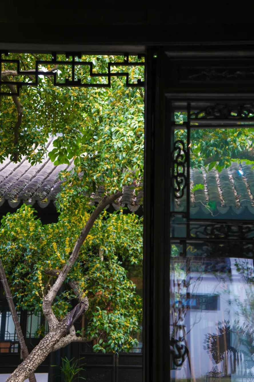 DSC08510.jpg