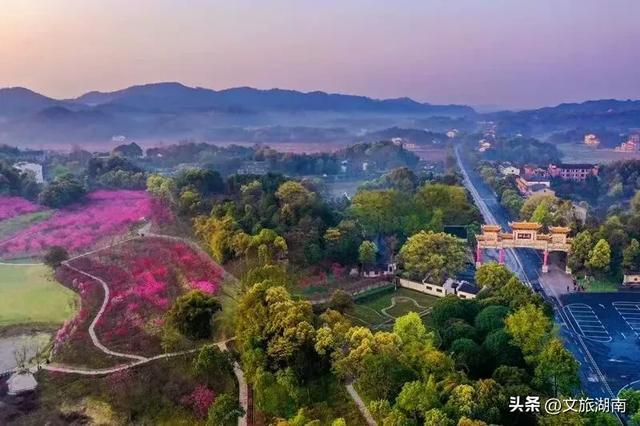 桃花源。图/刘伯源