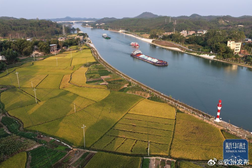 【#平陆运河秋景#】金秋时节，广西平陆运河两岸秋意盎然，澄澈河水倒映