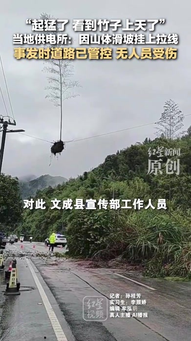 “起猛了 看到竹子上天了”当地供电所：因山体滑坡挂上拉线 事发时道路已管控 无人员受伤