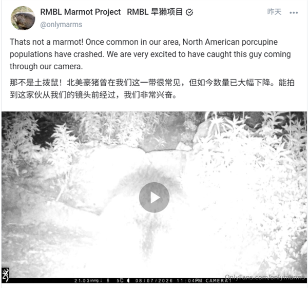 为了给实验室搞钱 美国教授开始在OnlyFans开号了