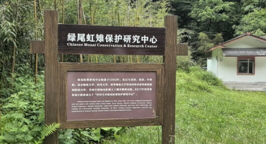 微信图片_20260603141101_352_28.png