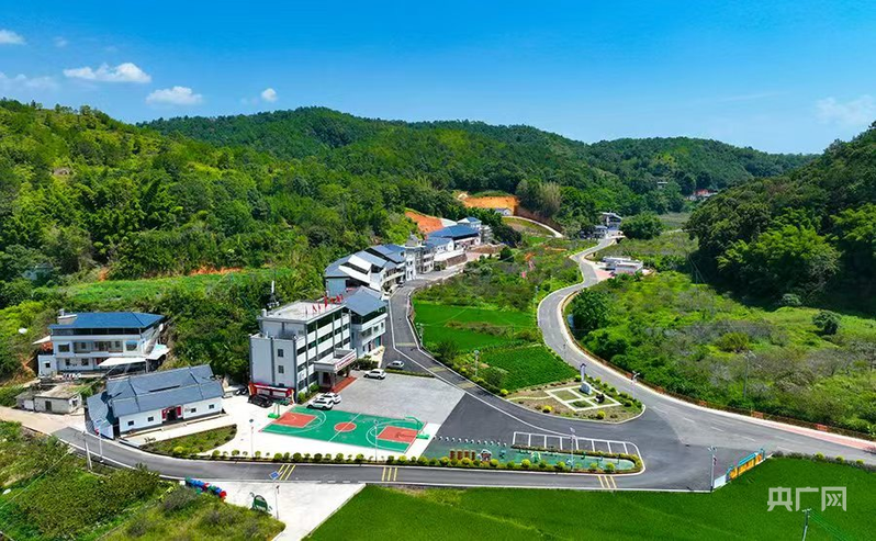 肉鸽产业发展让兴宁乡村展新貌(央广网发 陈建军 摄)