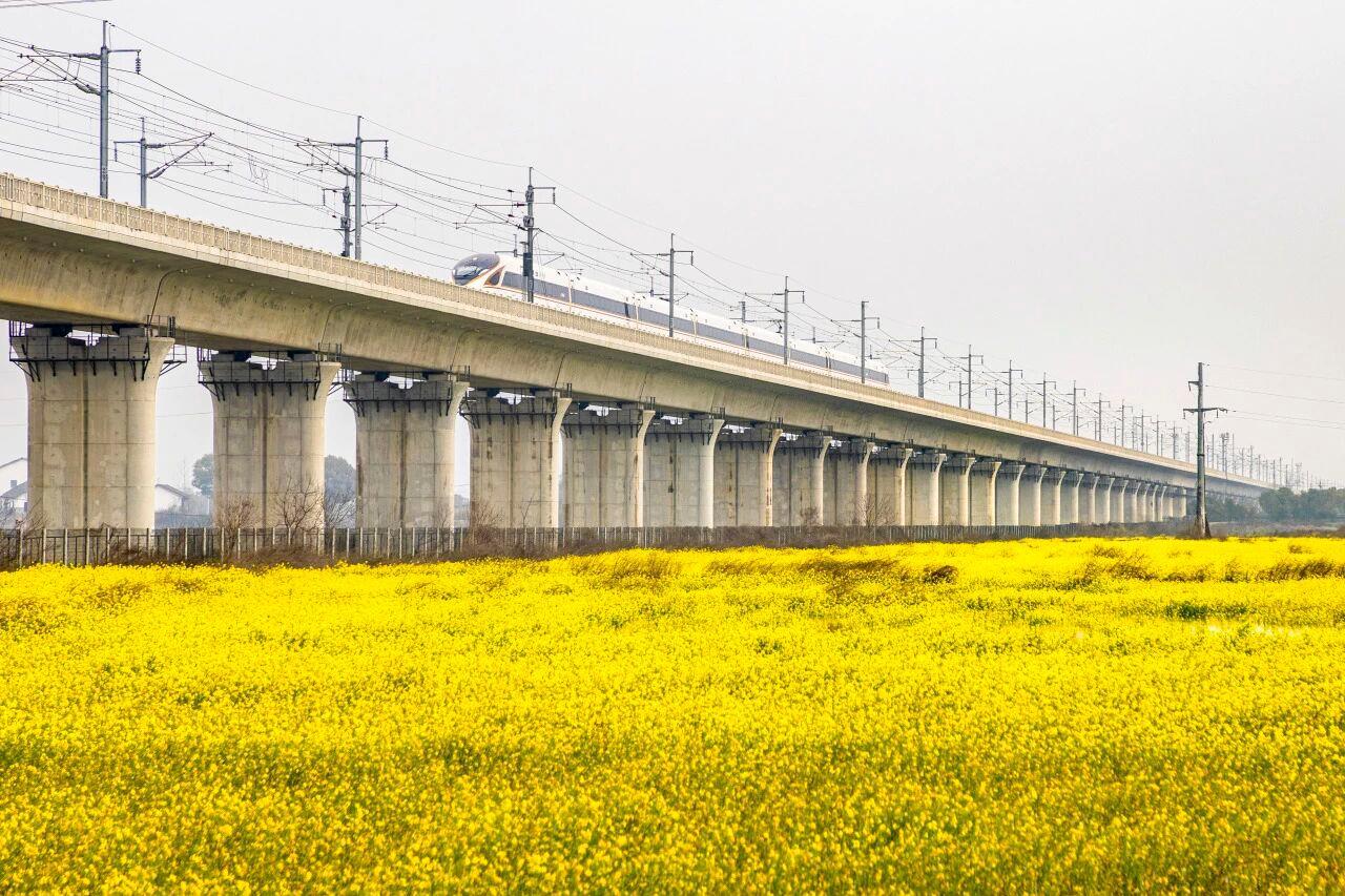△飞驰的复兴号穿越油菜花海。