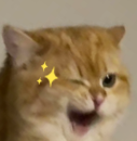 5d379e72-0e28-4048-9a44-42a14a414068.png