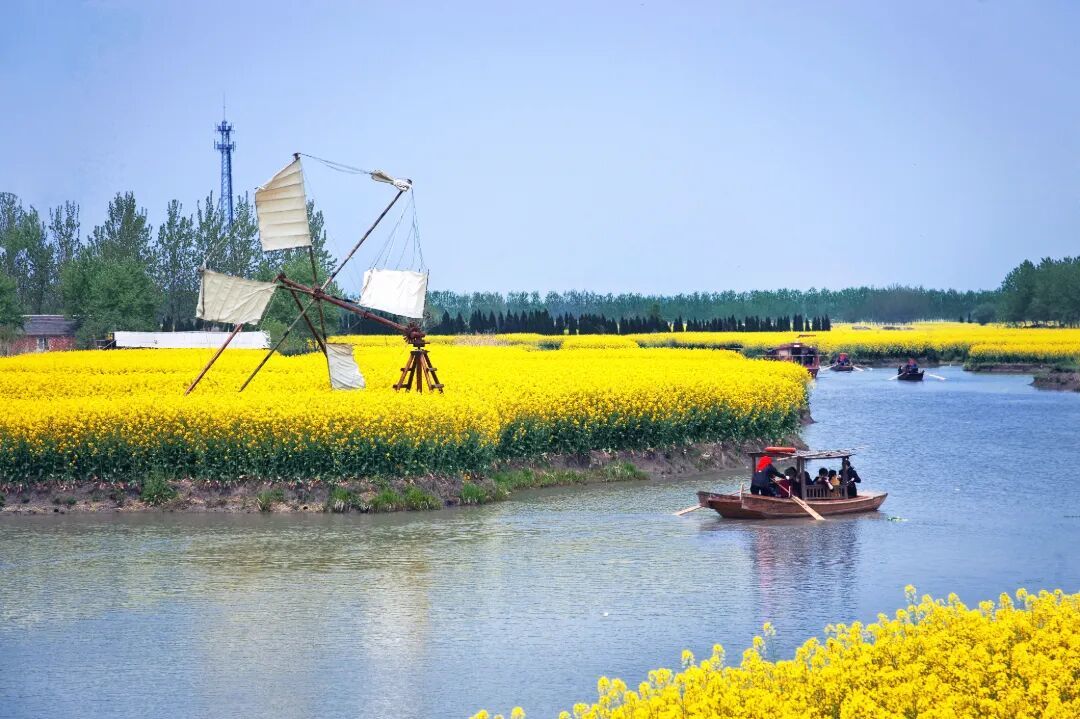 摄图网_701514171_泰州春日油菜花田园河流乌_(企业商用).jpg