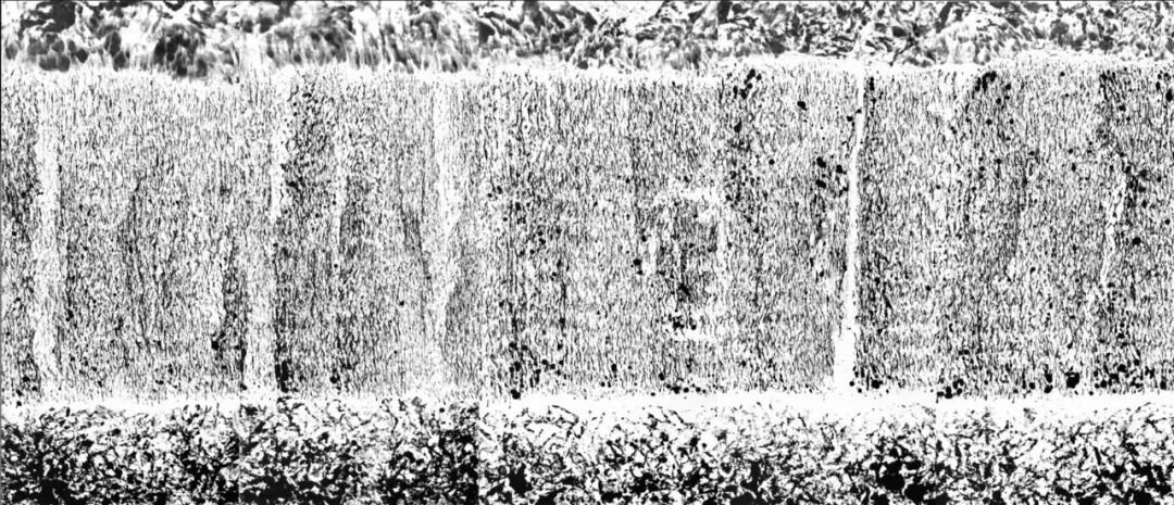 6BA412C3-903B-4BC9-92D9-18555F6880CA_LOW_0.jpg