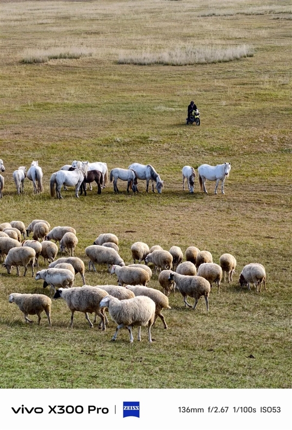 那些外国博主们 怎么突然开始吹中国手机了
