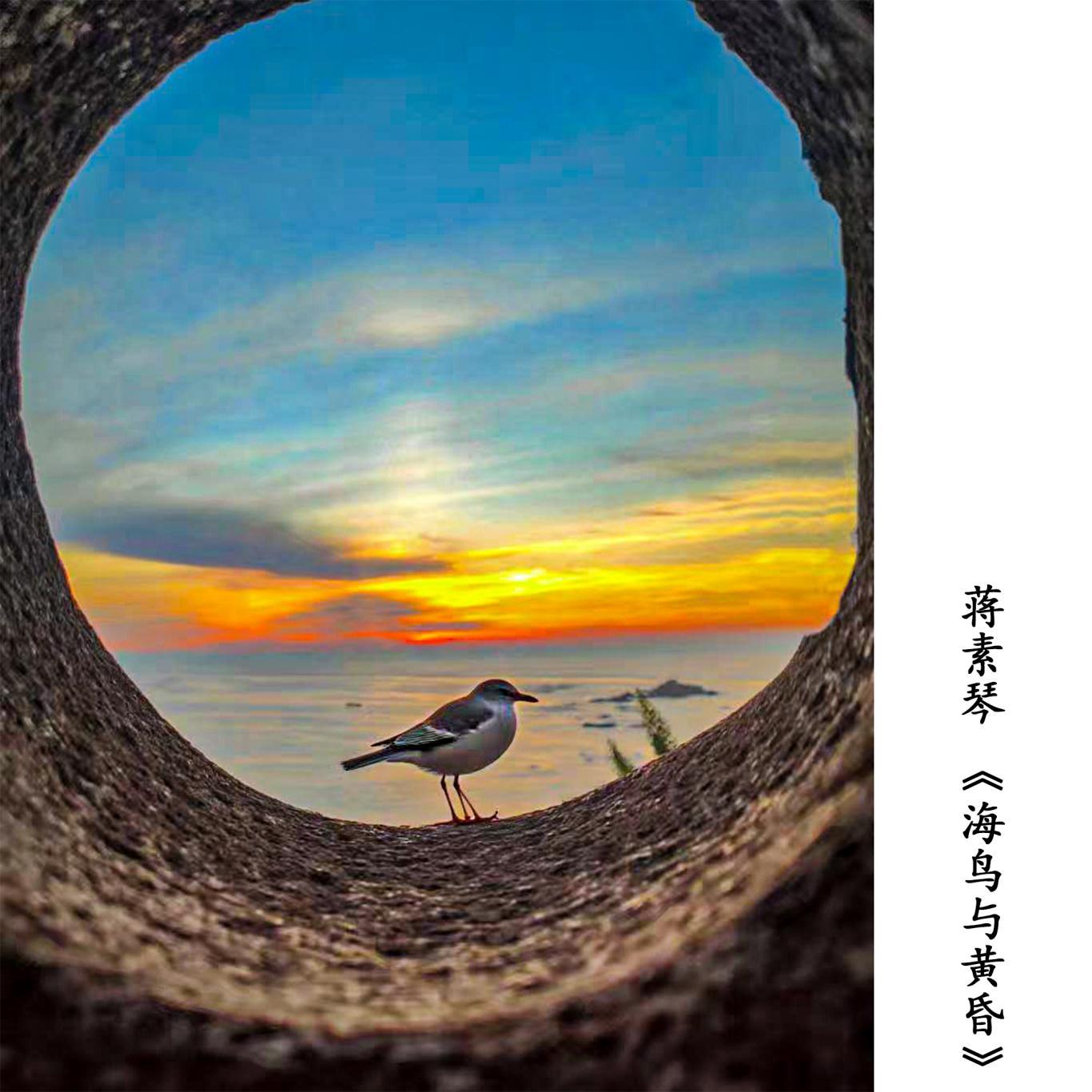 老有福｜画中画！银发摄影师带你换个视角看风景